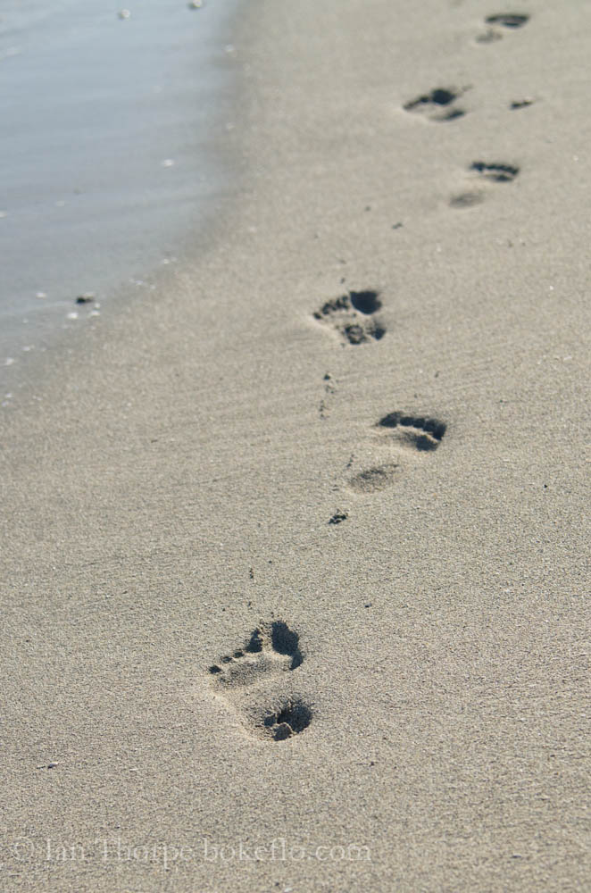 An image of footprint on the beach in Varadero, Cuba