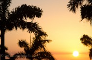 An image of the sun setting through the palm trees at the Iberostar, Laguna Azul, Varadero, Cuba