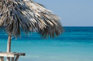 Tropical View of a palm umbrella and the sea from Varadero Beach, Cuba