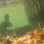 from a GoPro floating just above the bottom of a lake with dead leaves and underwater plants growing out of the bottom of the lake and the bottom of a dock in the foreground and a snapping turtle looking at the surface in the background
