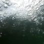 from a GoPro floating just above the bottom of a lake looking up towards the surface with bubbles floating up towards the surface for the GoPro entering the water.